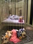 MissoniHome