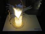 Designmai