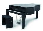 B�sendorfer