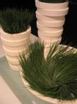 La Mediterr�nea