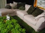 Roche-Bobois