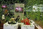Premi�re Vision