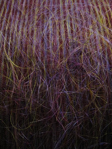 Horse hair weave