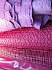 Pic Nic Enchant&eacute; /Enchanted Picnic-HCP/TCIM/Gordon Choisy (FR), Pro�Peaux