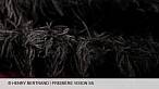 Premi�re Vision