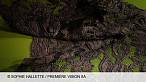 Premi�re Vision