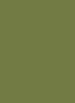 Pantone