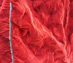 Fabric by Nigel Atkinson