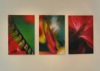Photos by Marc Ayrault