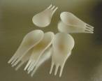 These biodegradable fork/spoons are made of mater-bi: a new plastic - made entirely of corn starch polymers