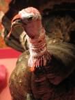 The Animality trend with bling comes to Printemps