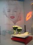 The main entrance: The house of Marilyn Monroe (as envisioned and furnished by exhibitors)