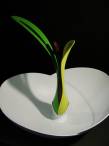 "In Bloom." A set of salad bowl, servers and dressing bottle in different colors, representing plant layers.