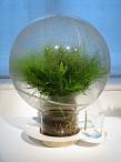 Water evaporation as a source of a daily glass of clean water