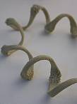 Silicone jewelry