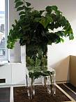 'Growing Chair'