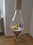Litill terrarium by Lauren Coleman