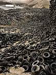 Waste Age