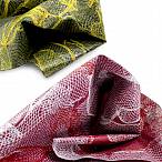 Ela Cios � Lamella