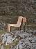 Lilian Onstenk�s 1C